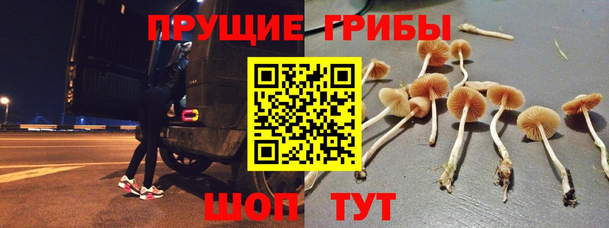 Псилоцибиновые грибы ЛСД Луга